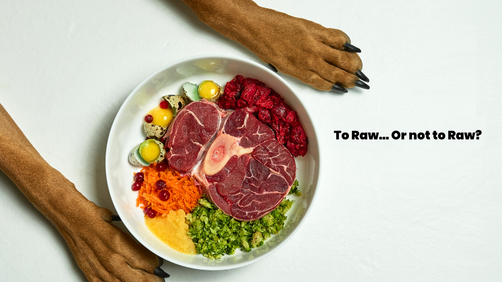 Doggy Diets Series Pt 2 - Raw diet